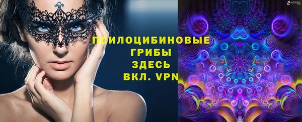 мет Медвежьегорск