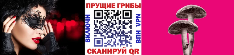 Псилоцибиновые грибы Magic Shrooms дарк нет клад Рыбинск